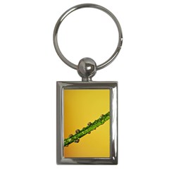 Drops Key Chain (rectangle) by Siebenhuehner