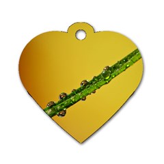 Drops Dog Tag Heart (one Sided)  by Siebenhuehner