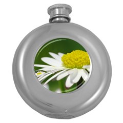 Daisy With Drops Hip Flask (round) by Siebenhuehner