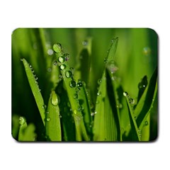 Grass Drops Small Mouse Pad (rectangle) by Siebenhuehner