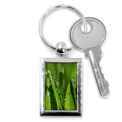 Grass Drops Key Chain (rectangle) by Siebenhuehner