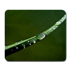 Grass Drops Large Mouse Pad (rectangle) by Siebenhuehner