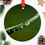 Grass Drops Round Ornament (Two Sides) Back