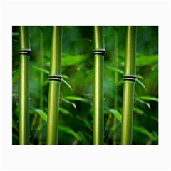 Bamboo Glasses Cloth (small, Two Sided) by Siebenhuehner