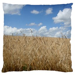 Gettysburg 1 068 Large Cushion Case (single Sided)  by plainandsimple