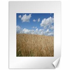 Grain And Sky Canvas 12  X 16  (unframed) by plainandsimple