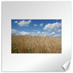 Grain And Sky Canvas 16  X 16  (unframed) by plainandsimple