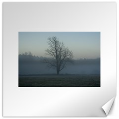 Foggy Tree Canvas 16  X 16  (unframed) by plainandsimple