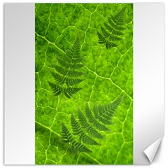 Leaf & Leaves Canvas 12  X 12  (unframed) by BrilliantArtDesigns