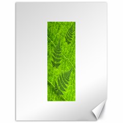 Leaf & Leaves Canvas 18  X 24  (unframed) by BrilliantArtDesigns