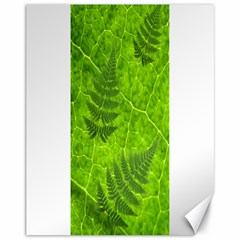 Leaf & Leaves Canvas 11  X 14  (unframed) by BrilliantArtDesigns