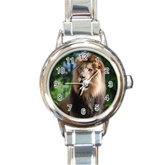 Regal Lion Round Italian Charm Watch by AnimalLover