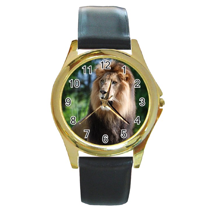 Regal Lion Round Leather Watch (Gold Rim) 