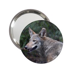 Shdsc 0417 10502cow Handbag Mirror (2 25 ) by AnimalLover