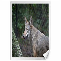 Shdsc 0417 10502cow Canvas 24  X 36  (unframed) by AnimalLover