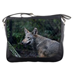 Shdsc 0417 10502cow Messenger Bag by AnimalLover