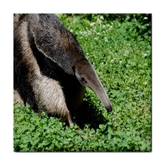 Giant Anteater Ceramic Tile by AnimalLover