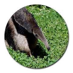 Giant Anteater 8  Mouse Pad (round) by AnimalLover