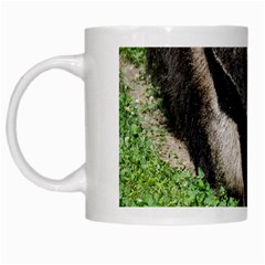 Giant Anteater White Coffee Mug by AnimalLover