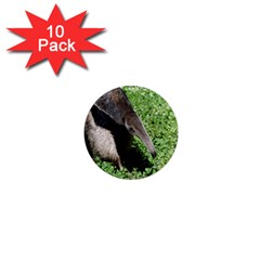 Giant Anteater 1  Mini Button Magnet (10 Pack) by AnimalLover