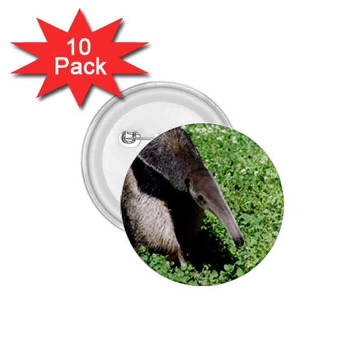 Giant Anteater 1.75  Button (10 pack)