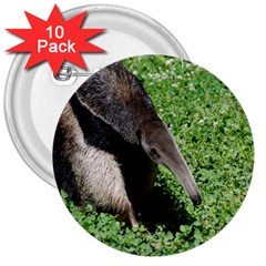 Giant Anteater 3  Button (10 Pack) by AnimalLover