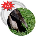 Giant Anteater 3  Button (10 pack) Front