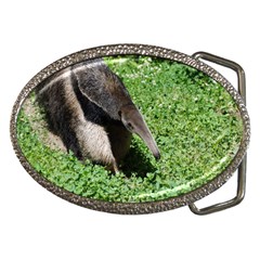 Giant Anteater Belt Buckle (oval) by AnimalLover