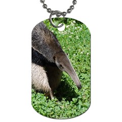 Giant Anteater Dog Tag (one Sided) by AnimalLover