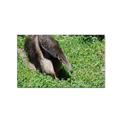 Giant Anteater Sticker 10 Pack (rectangle) by AnimalLover