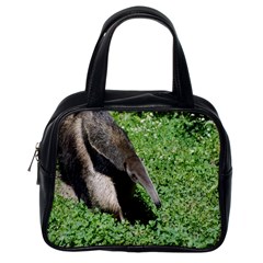 Giant Anteater Classic Handbag (one Side) by AnimalLover