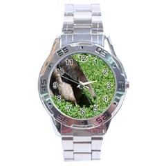 Giant Anteater Stainless Steel Watch by AnimalLover