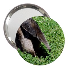 Giant Anteater 3  Handbag Mirror by AnimalLover