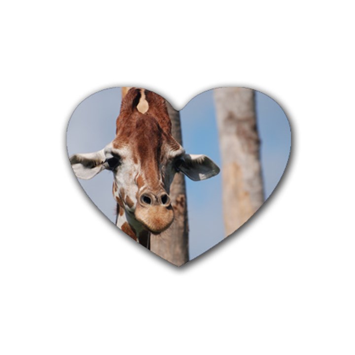 Cute Giraffe Drink Coasters 4 Pack (Heart) 