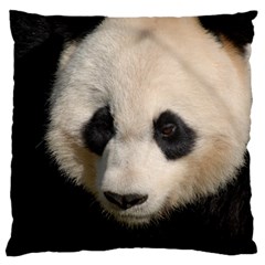 Adorable Panda Large Cushion Case (single Sided)  by AnimalLover