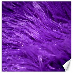 Purple Tresses Canvas 12  X 12  (unframed) by FunWithFibro