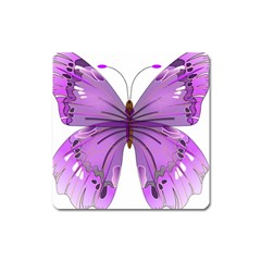 Purple Awareness Butterfly Magnet (square) by FunWithFibro