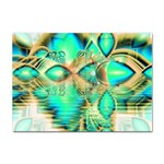 Golden Teal Peacock, Abstract Copper Crystal A4 Sticker 100 Pack Front