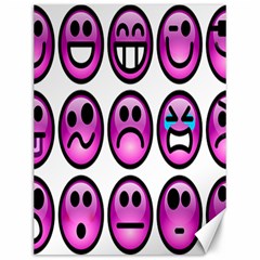 Chronic Pain Emoticons Canvas 12  X 16  (unframed) by FunWithFibro