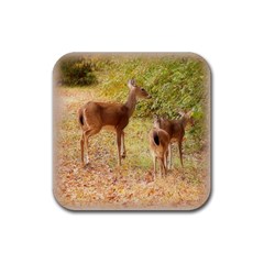 Deer In Nature Drink Coaster (square) by uniquedesignsbycassie