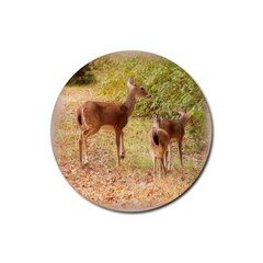 Deer In Nature Drink Coaster (round) by uniquedesignsbycassie