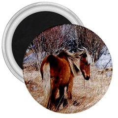 Pretty Pony 3  Button Magnet by Rbrendes