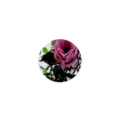 Rose 1  Mini Button Magnet by Rbrendes