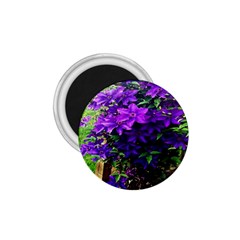 Purple Flowers 1 75  Button Magnet by Rbrendes