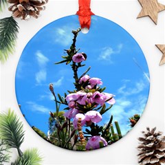 Pink Flower Round Ornament by Rbrendes