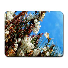 Australia Flowers Small Mouse Pad (rectangle) by Rbrendes