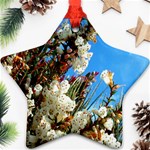 Australia Flowers Star Ornament Front