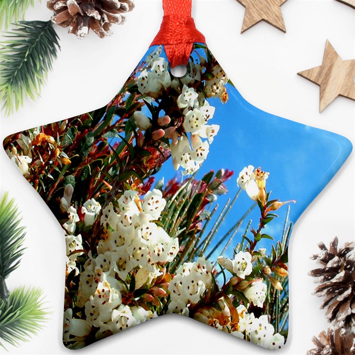 Australia Flowers Star Ornament