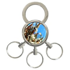 Australia Flowers 3-ring Key Chain by Rbrendes