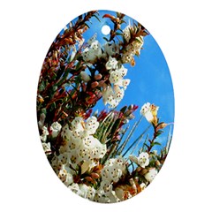 Australia Flowers Oval Ornament (two Sides) by Rbrendes